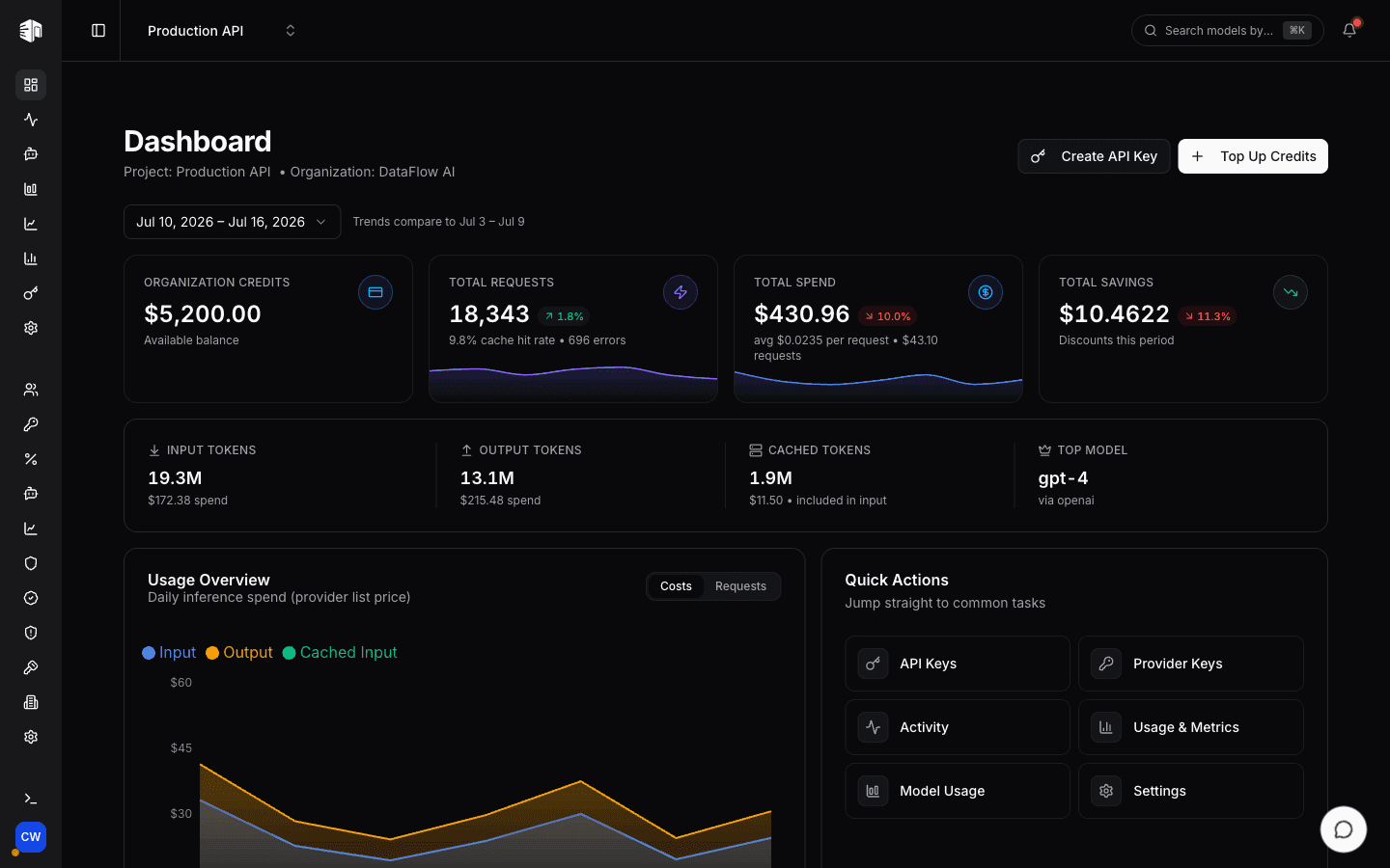 DigitSpace analytics dashboard with usage and cost metrics