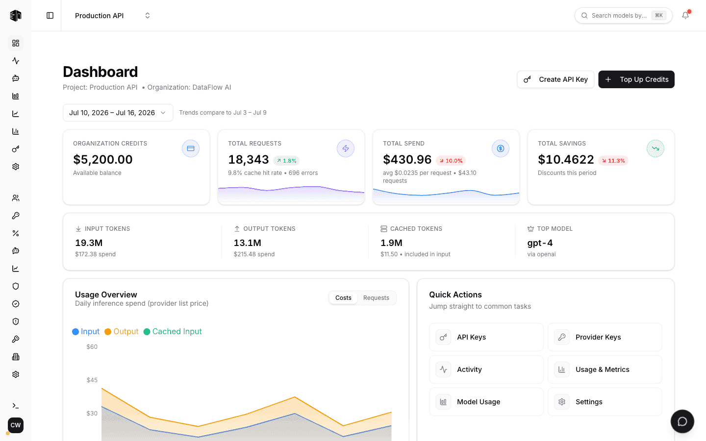DigitSpace analytics dashboard with usage and cost metrics