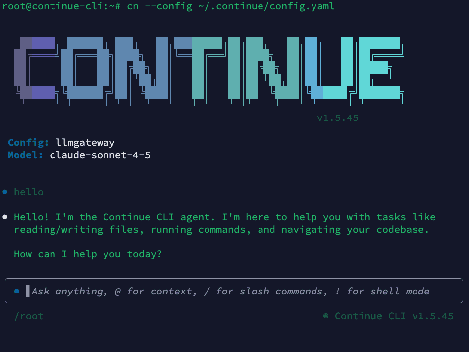 Continue CLI running with DigitSpace